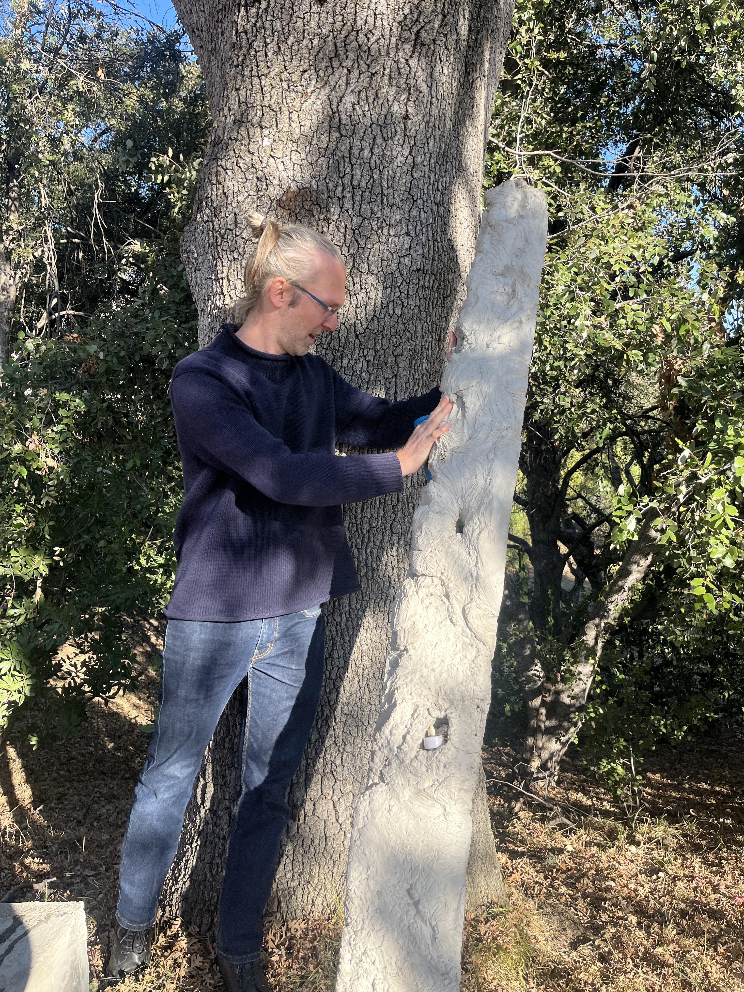 Roman Jaster takes down a tree like a pro!